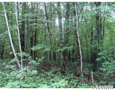 Lot 34 Spotted Fawn Rd, Danbury, WI 54830 - photo 4