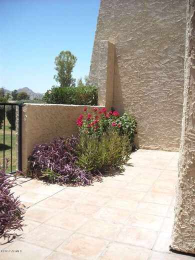 Patio (2)