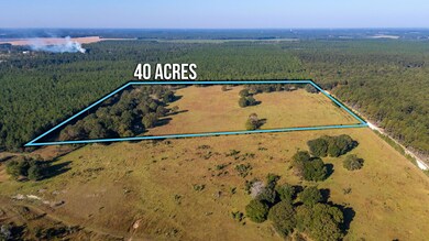 6-web-or-mls-Wallace Rd Aerial-6