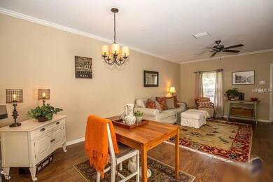 15907 Fishhawk View Dr, Lithia, FL 33547 - photo 5