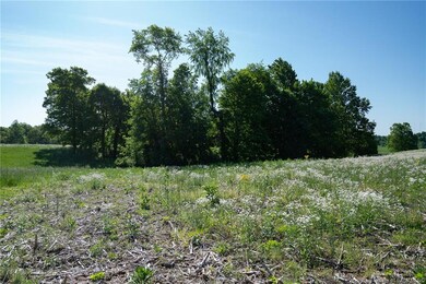 Tract 8 Book Rd, Carr Township, IN 47119 - photo 7