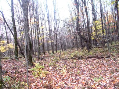 7 Emerald, Mount Storm, WV 26739 - photo 6