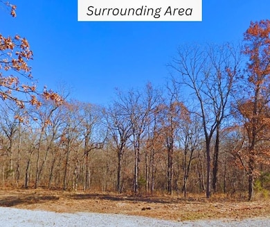 31176 Malcolm Rd, Edwards, MO 65326 - photo 2