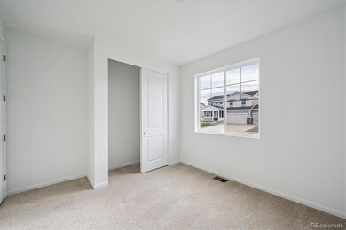 5583 Brangus Dr, Windsor, CO 80528 - photo 4