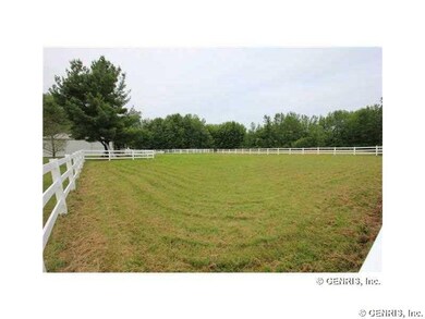 Land More Pasture