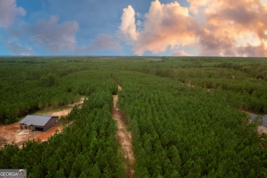 375 Bagley Rd, Forsyth, GA 31029 - photo 6