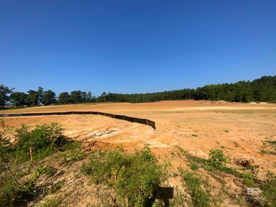 0 St Hwy 59 Hwy unit 1 380398, Bay Minette, AL 36579 - photo 3