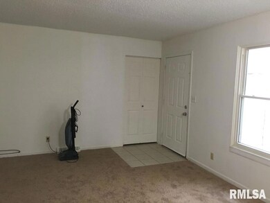 5119 N Ripley C-12 St, Davenport, IA 52806 - photo 5