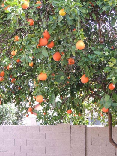 1607 N Apache Dr, Chandler, AZ 85224 - photo 6