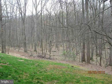 1675 Parkcrest Cir unit 4E/100, Reston, VA 20190 - photo 5