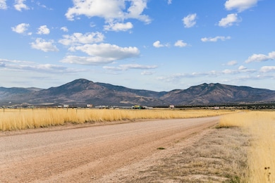 1615 W Sunflower Ln unit 4, Fillmore, UT 84631 - photo 4