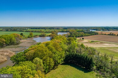 7431 Maple Grove Rd, Chestertown, MD 21620 - photo 4