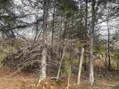 7 Hughey Talley Rd, Selmer, TN 38375 - photo 7