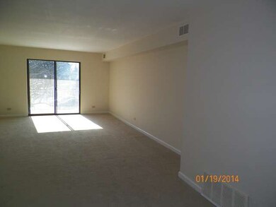 4 Oak Creek Dr unit 2506, Buffalo Grove, IL 60089 - photo 2