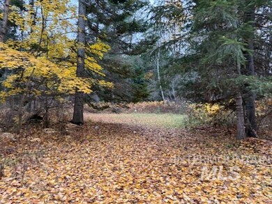 View of undeveloped land