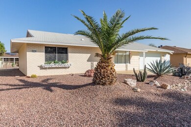 0002-Willow - 10522 (2)