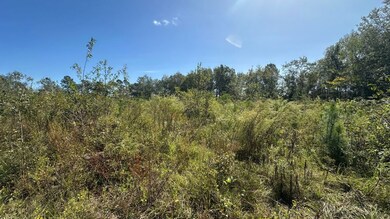 0 Waynesboro Hwy unit 25177409, Sylvania, GA 30467 - photo 5