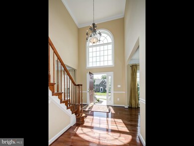 22587 Forest View Ct, Ashburn, VA 20148 - photo 6