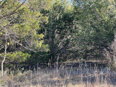 38 Danube Dr, Holiday Island, AR 72631 - photo 6