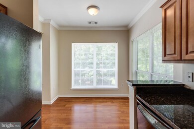 4551 Strutfield Ln unit 4234, Alexandria, VA 22311 - photo 4