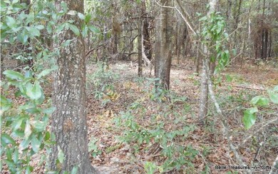 0 Open Ct unit 106074, Lake City, FL 32055 - photo 2