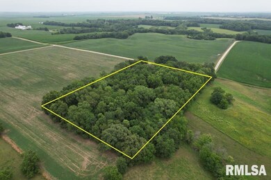 2395 Rolf Ln, Arenzville, IL 62611 - photo 5