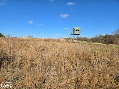 16706 481st St, Mystic, IA 52574 - photo 4