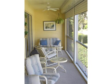 Screened Lanai East View