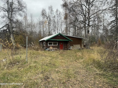 1291 E Hickok Rd, Trapper Creek, AK 99683 - photo 4