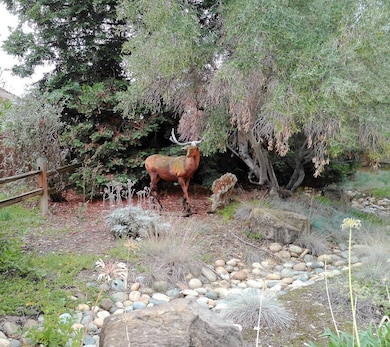 1388 Sonnys Way, Hollister, CA 95023 - photo 2