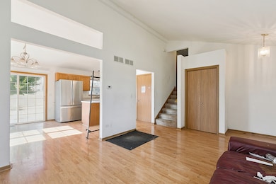 4549 W Tulip Ave, Monee, IL 60449 - photo 4