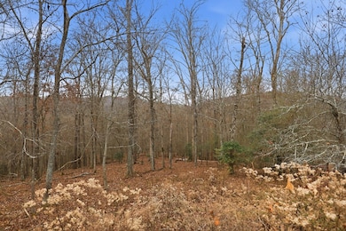 5.01 ac Ada St, Blue Ridge, GA 30513 - photo 4