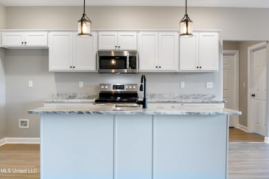 10117 Emerald Forest Dr, Hernando, MS 38632 - photo 5