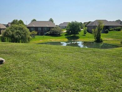 207 Morgan Ct, Nicholasville, KY 40356 - photo 6