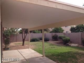 Back Patio