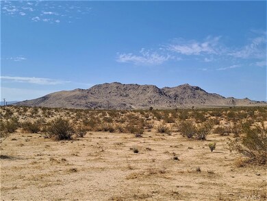 3030 Saddleback Rd, Joshua Tree, CA 92252 - photo 2