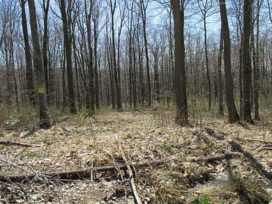 Other. Part of cleared site 2 sides of parcel abut