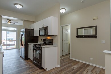 938 Mesa Dr, Lake In the Hills, IL 60156 - photo 2