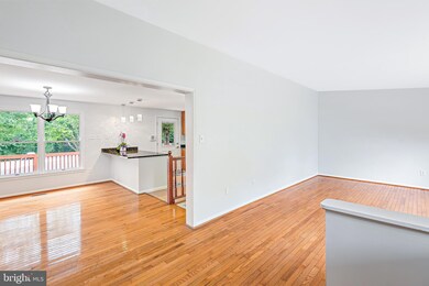 15315 Holly Grove Rd, Silver Spring, MD 20905 - photo 3