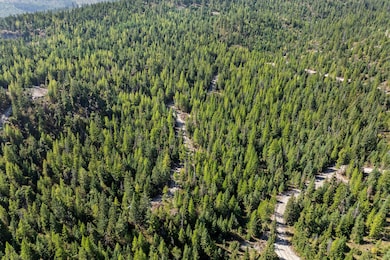 Winding access road leads through beautiful wooded land