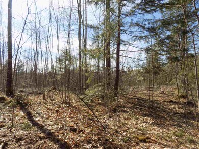 0 Mill St, Conway, NH 03818 - photo 2