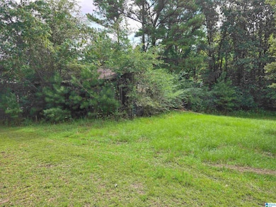 19439 Alabama 22, Rockford, AL 35136 - photo 5