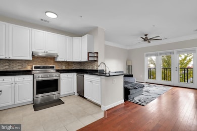 The Fitz at Rockville Town Center, Rockville, MD 20850 - photo 4