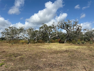 2 County Road 700, Brazoria, TX 77422 - photo 2