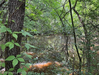 TBD Aes Rd, Spiro, OK 74959 - photo 4