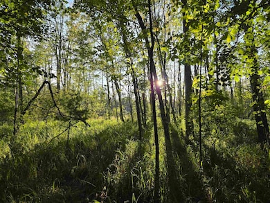 0 Nute Rd unit 19B 5060365, Madbury, NH 03023 - photo 3