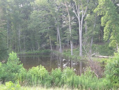 Pond & Wooded Surroundings