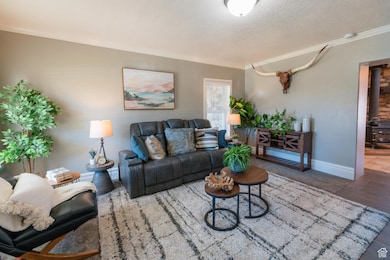 Living area featuring crown molding, wood finished floors, and a textured ceiling
