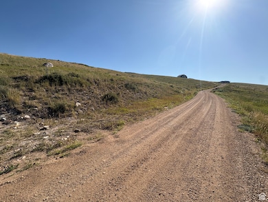 View of dirt / gravel road with a view of rural / pastoral area