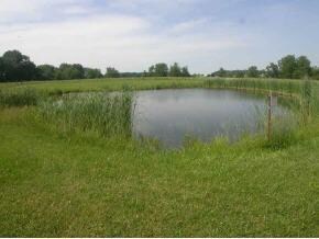 19037 Five Point Rd, Batesville, IN 47006 - photo 3